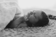 Emma, Newborn © Kendall Lauren Photography 2013